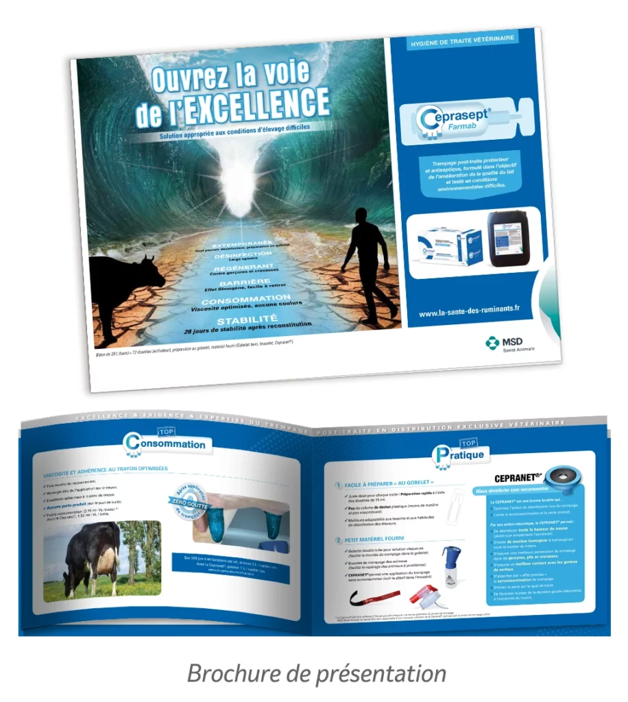 Brochure ceprasep