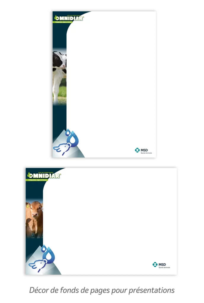 Décor de fonds de pages pour présentations